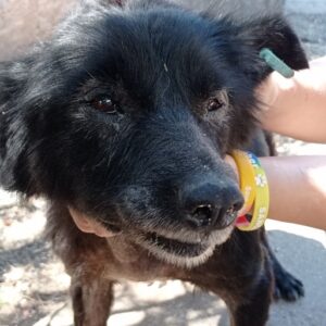 MARLIES - RBB 06/2021