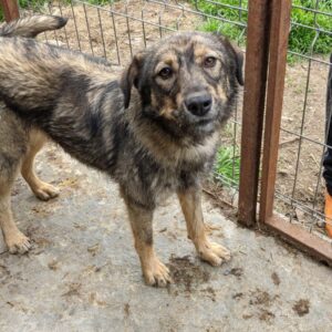 JUMA - reserviert - vermittelt