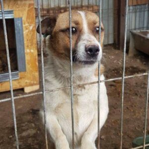 MORPHEUS - RBB 06/2021