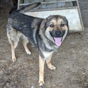 TUPP - ausgereist (Doppelerfassung)