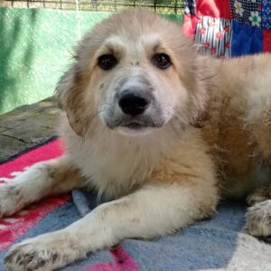 MATS - reserviert Manuela - vermittelt