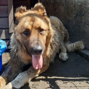 ASTA - RBB 25.08.2021