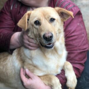 TRUDE - reserviert TH Koblenz - vermittelt