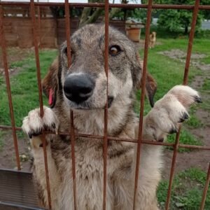 EUGENIA - reserviert Manuela - vermittelt