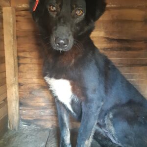 KARA - RBB 28.08.2021