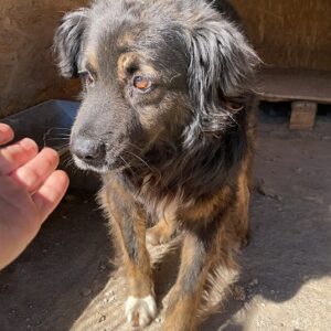 LUAN - vermisst 12/22