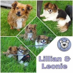 Lillian und Leonie in 18311 Ribnitz-Damgarten