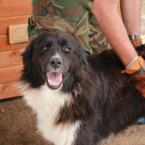 BÖRTA - RBB 26.09.2021