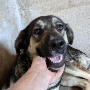 CECINA - reserviert Manuela vermittelt