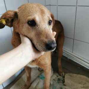 Hilja - RBB 04.09.2021