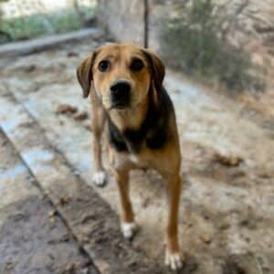 PAULINE - auf PDR PS im PLZ Bezirk 8 - vermittelt