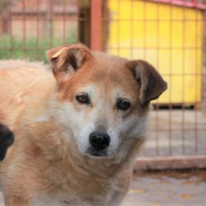 NOKI - reserviert Alexandra vermittelt - RBB 01.08.23