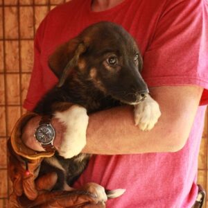 MALAWI - RBB 08/2021