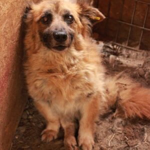 NEO - Notfall - RBB 08/20