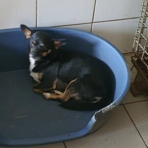 NAMINA - reserviert TiNO - vermittelt