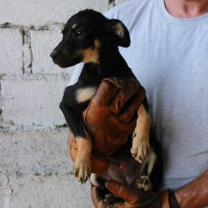 JAKUMI - reserviert Tierhilfe Lebenswert DR - vermittelt