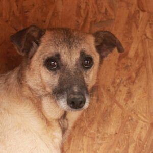 TRISHA (♀) - RBB 10/24