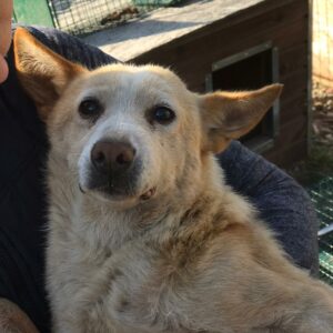 EMMELY - reserviert TH Filderstadt vermittelt