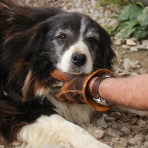 ORLAT - reserviert Alexandra - vermittelt