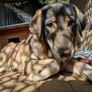 PUTZELINCHEN - RBB 09/2022