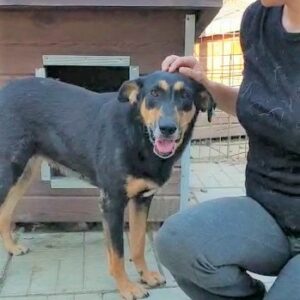 NADELA - auf Pflegestelle in PLZ 2 vermittelt