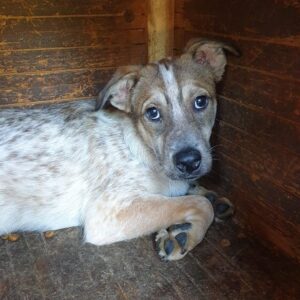 VINITA - reserviert LS vermittelt