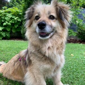 Maya in 90547 Stein *vermittelt*