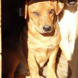 SEPP - reserviert NadineH - vermittelt