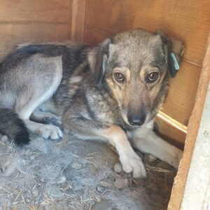 JAYJAY - RBB 06/2022