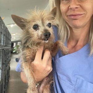 ZIRPO - RBB 08.09.21