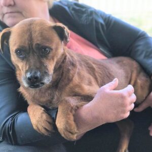 LIBELU - reserviert NadineH - vermittelt