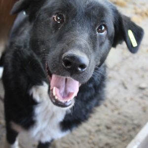 MARLEN - reserviert Manuela vermittelt