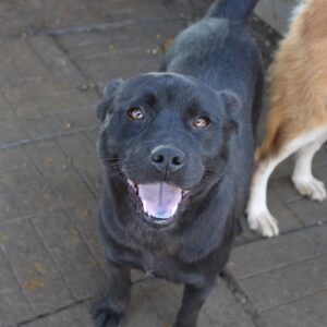 BLOOM - reserviert MG vermittelt