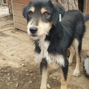 SIDNEY – RBB 12/2021