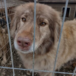 SMILA - reserviert Manuela - vermittelt