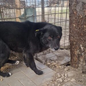 BONITO - RBB 06/2022