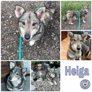 Helga in 63225 Langen - vermittelt