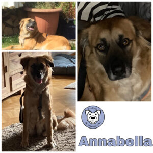 Annabella in 46499 Hamminkeln *vermittelt*