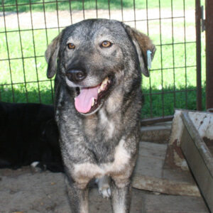 NOVIA - reserviert für THL - vermittelt