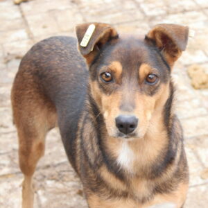 TAYANA - RBB 03/2022