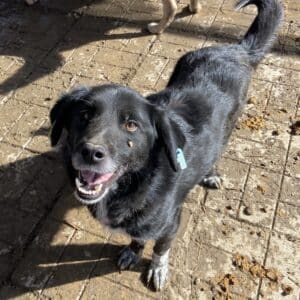 JOHN BOY - vermisst 11/24