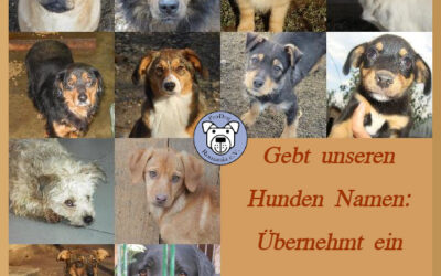 Namenspatenschaftspakete