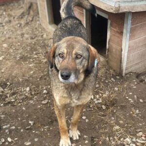 ZANTON - vermisst 11/24