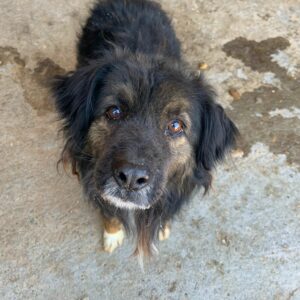 HADES - RBB 21.07.2022