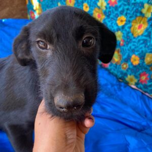 MILLER - RBB 24.03.2022