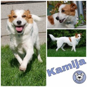 Kamija in 21493 Möhnsen - vermittelt -