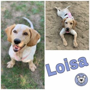 Loisa in 55122 Mainz *vermittelt*