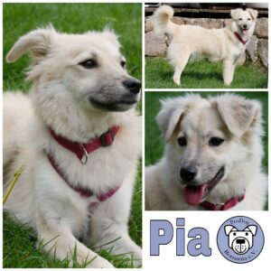 Pia in 21493 Möhnsen *vermittelt*