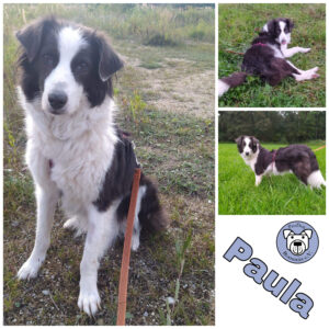 Paula in 85077 Manching *vermittelt*