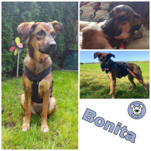 Bonita in 82223 Eichenau